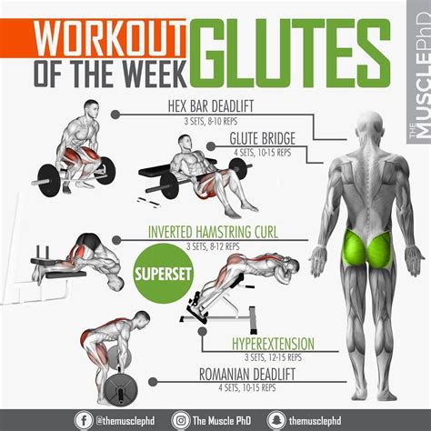 How To Build Muscle Mass In Your Buttocks .